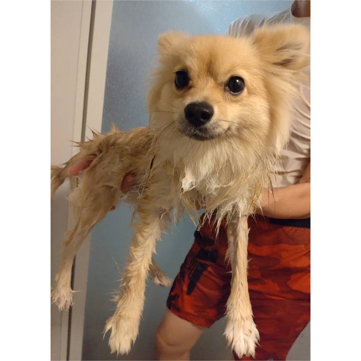 72d26a2c 930b 4565 b393 58f96f178ed4 1751081539628