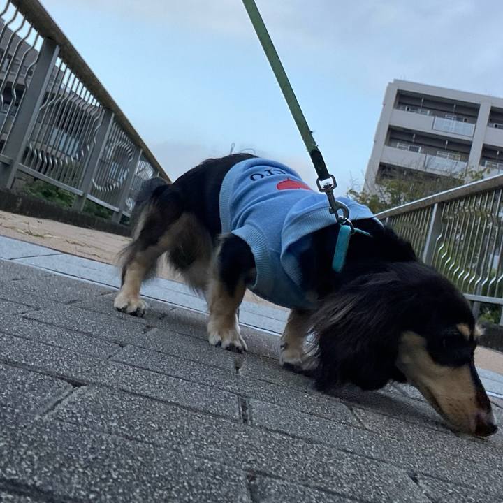 72d29cd8 a4be 4582 b19c 7c4f665e132e 1695858893341