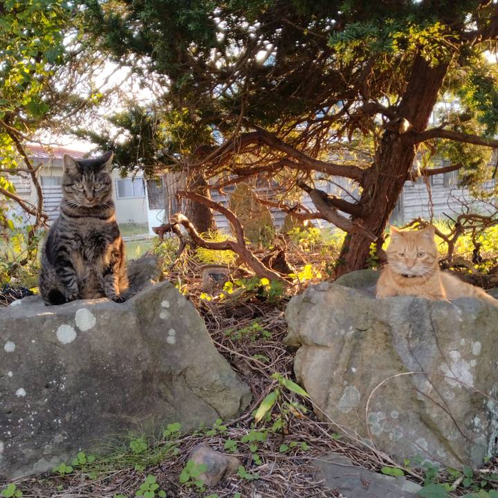 72d2b50b 4272 411c 8d0b cd5375d52ea2 1664179355195