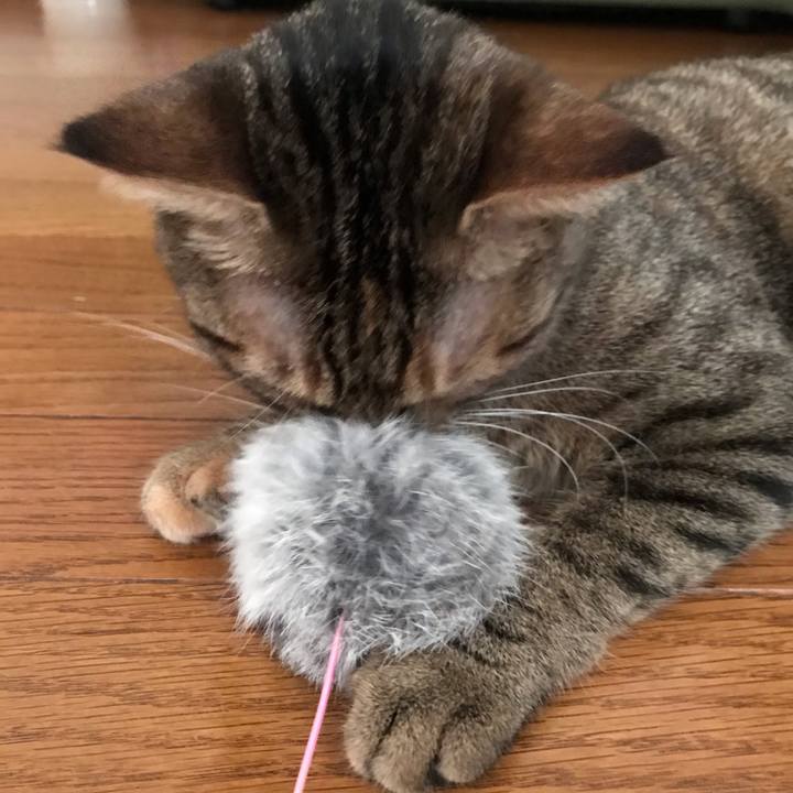 72d2c7fe 970b 4f03 95d1 d4071995ac57 1596756129457