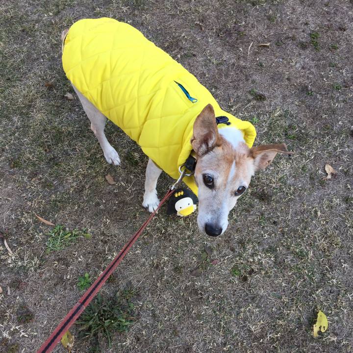 72d34539 f957 45d1 a8c1 23a609c6a820 1514684085938