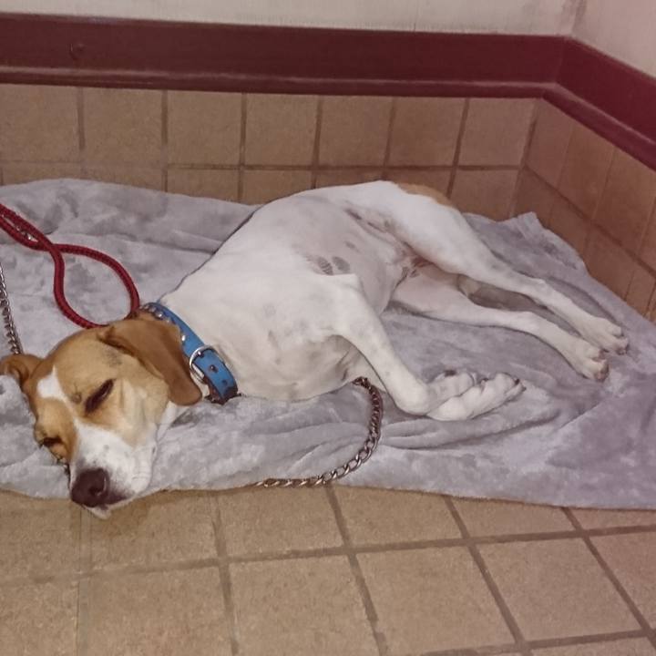 72d3e9b8 9428 4ecd 9976 f0547175f0dd 1568467167551