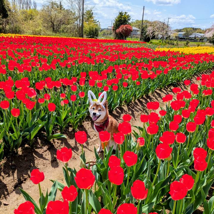 72d42118 3c01 4c82 b84e ab1743eb3d9b 1744637307029