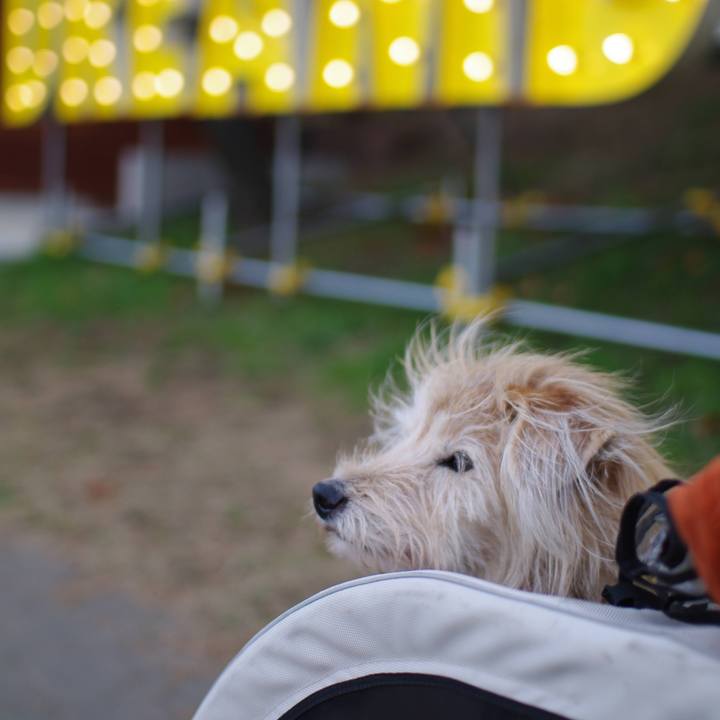 72d43118 0833 4b1a bc84 4999d1898a72 1650843747050