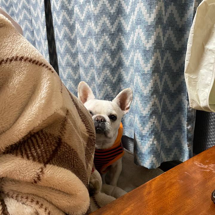 72d45590 acb3 41b7 a747 ca61c4e07db3 1736239090557