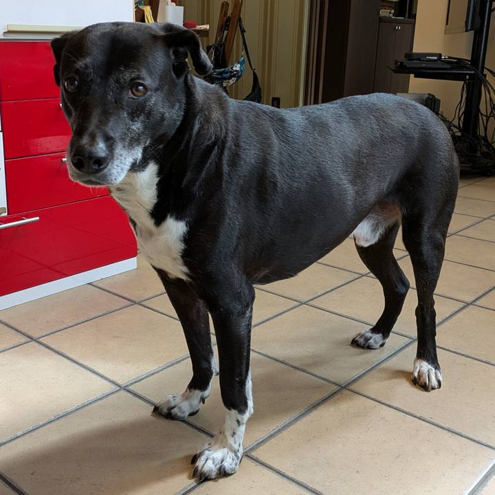 72d47b80 8a02 4ab3 84fb 7d99f566fd9a 1747615091666