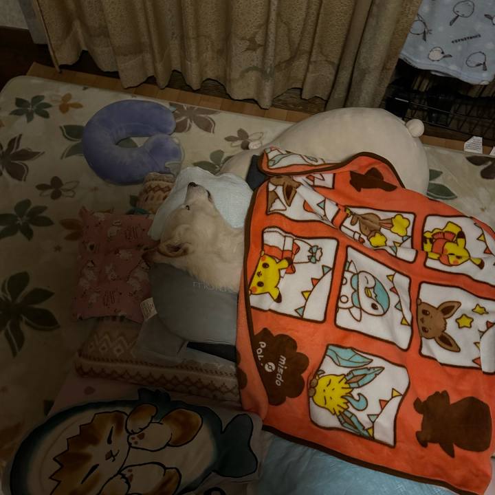 72d4871d bfde 4b21 a199 a51a62f6c9dc 1704217762161