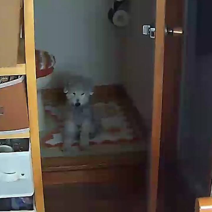 72d49470 57d0 456e 970b 40aec45955cf 1620363446382