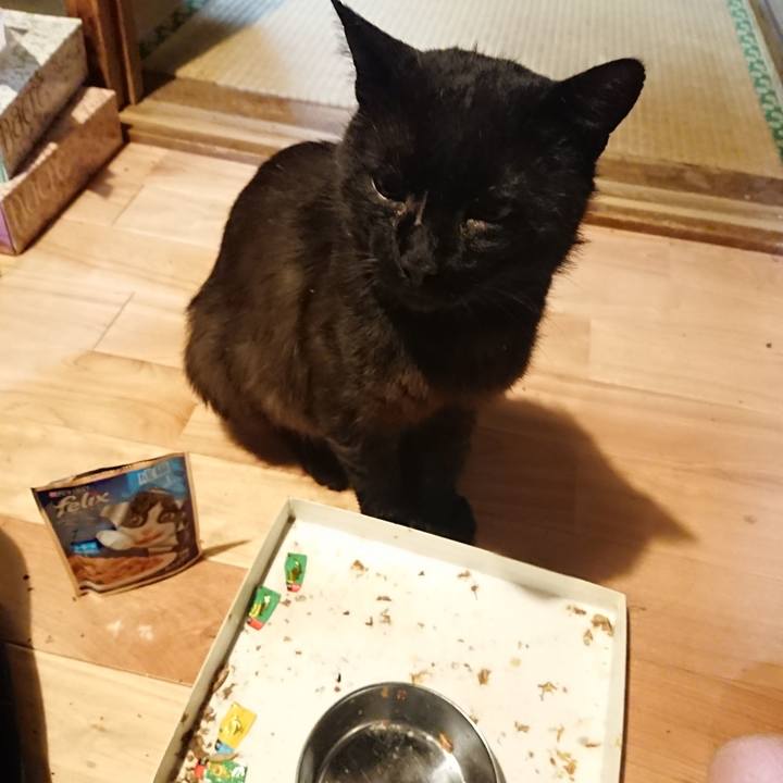 72d4d1f1 e684 4d80 80ad 0371035b1ae6 1624459764692