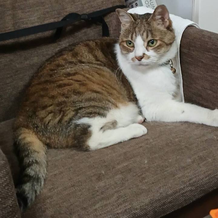 72d4da5e 1a70 4aae 98e2 3270a86bf49d 1749884666430