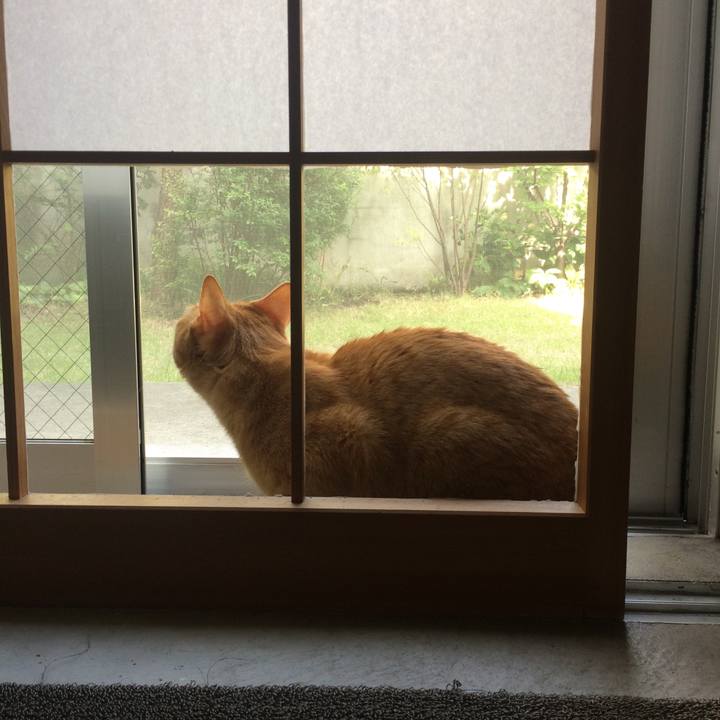 72d4e051 a147 4676 a8d7 4949fc8a938d 1529819205123