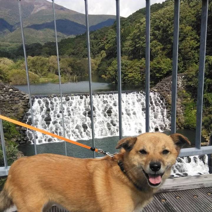 72d507da 6827 46f3 bea1 11f9641c3a89 1633261544255