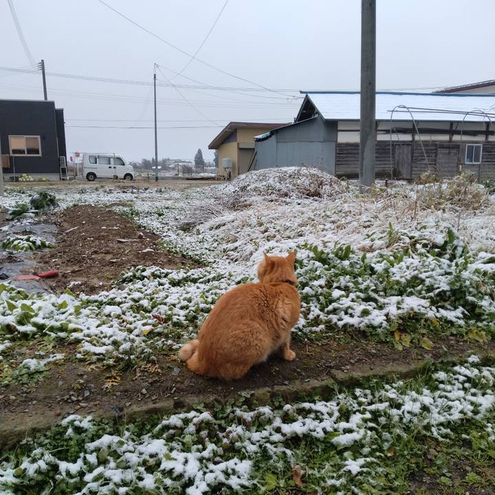 72d51417 8094 4f95 b6f8 950a83dd67fc 1670025132038