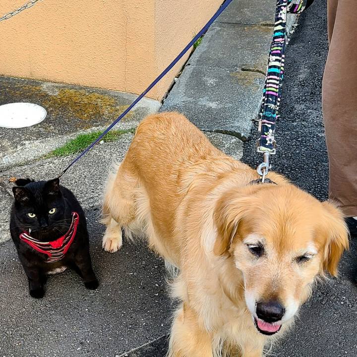 72d54afd 61ae 4a9e bdd1 8575c6b247c5 1685804823349