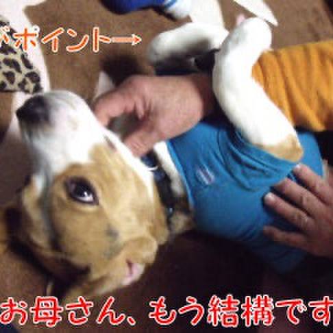 72d5b20f df4c 45a4 9e2f 68919943030b 1706582218760