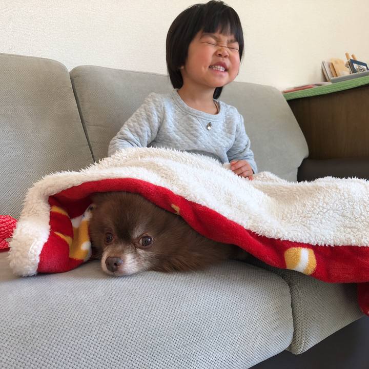 72d5c32e 14af 4d0d a48e 13ddaf18917c 1547252892602