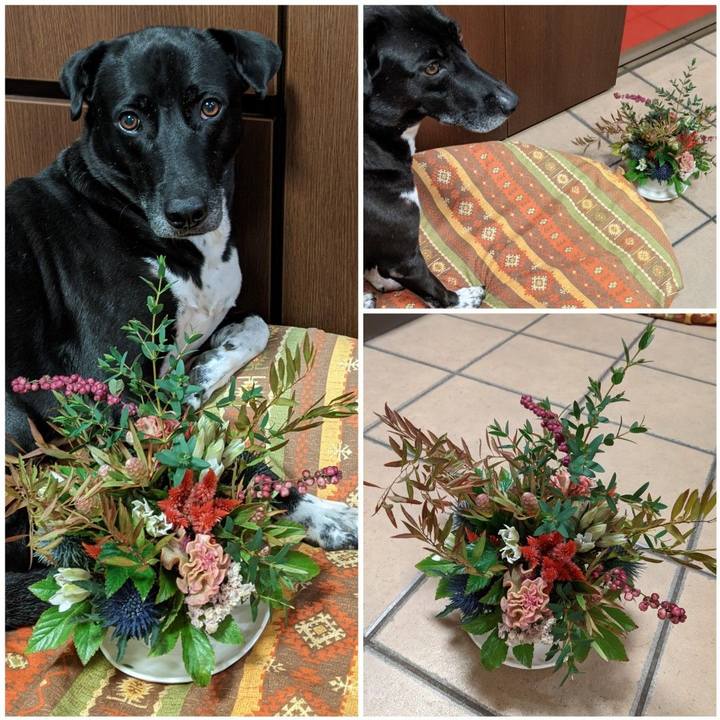 72d6066e 7e2d 4abd b860 b0e0e7ce3e89 1635418359714