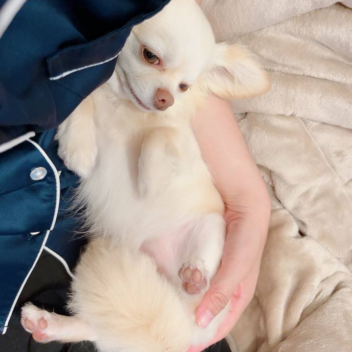 72d62c77 5737 4c8d 983e c38773adeece 1716419329190