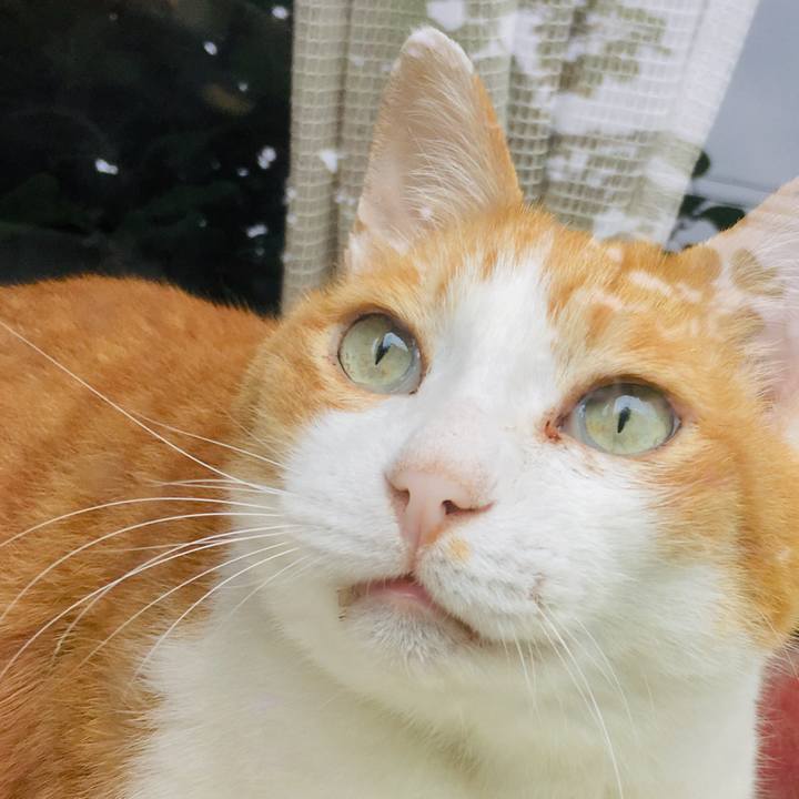 72d655f1 21d1 4c34 a7a3 ce3f5a4e50aa 1561257927311