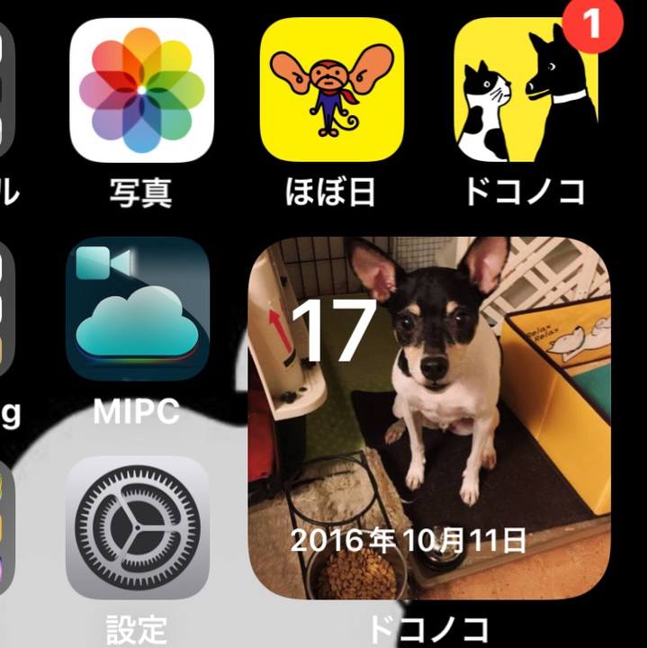 72d6680e efb9 4fc2 bc74 7423ee84dda8 1634480092759