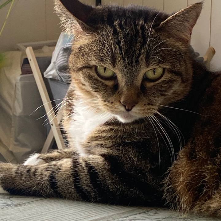 72d67e2d 2280 4a7e 89da b445a84c6907 1595211447656