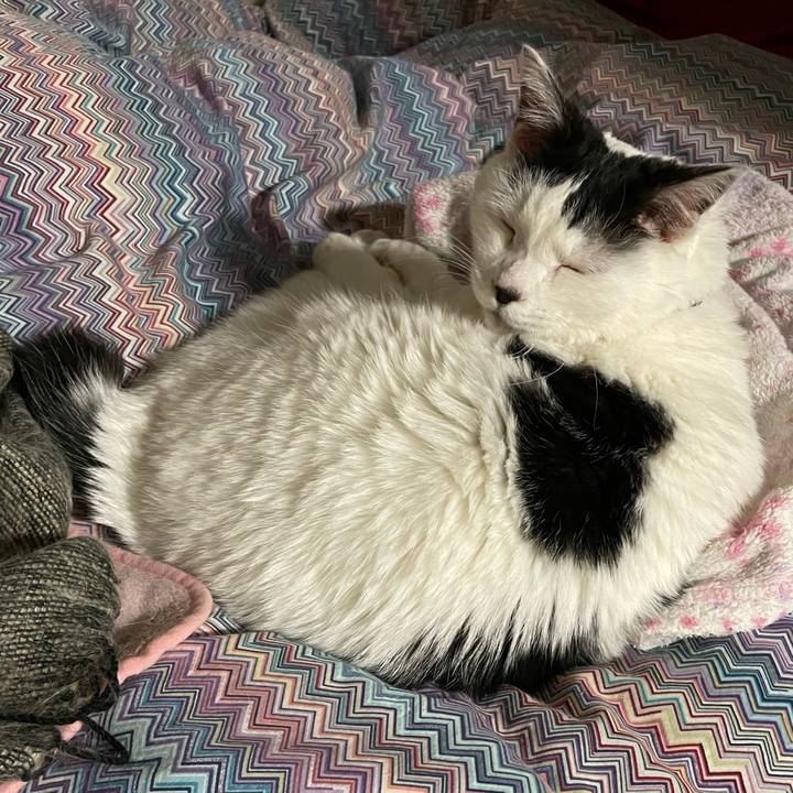 72d68559 10af 419b be24 8667d051a515 1641475816159