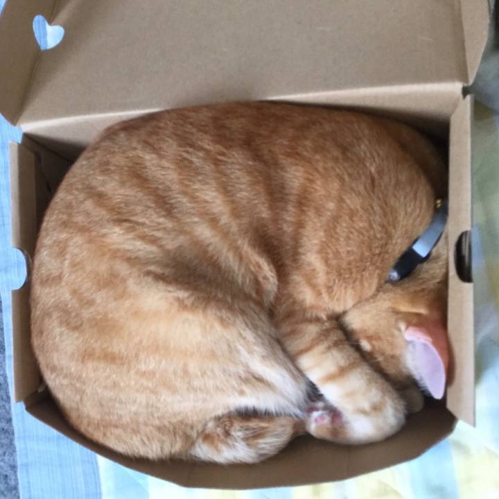 72d6a4ce 73d7 41b2 81da 42c97024ce39 1557036097282