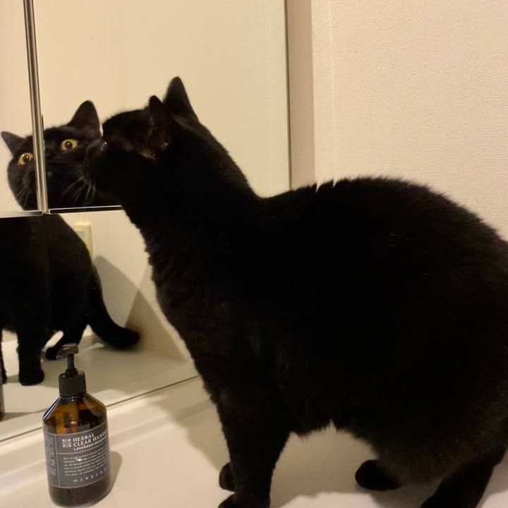 72d6c02c 33f7 4414 b233 342399b31bcf 1701326834901