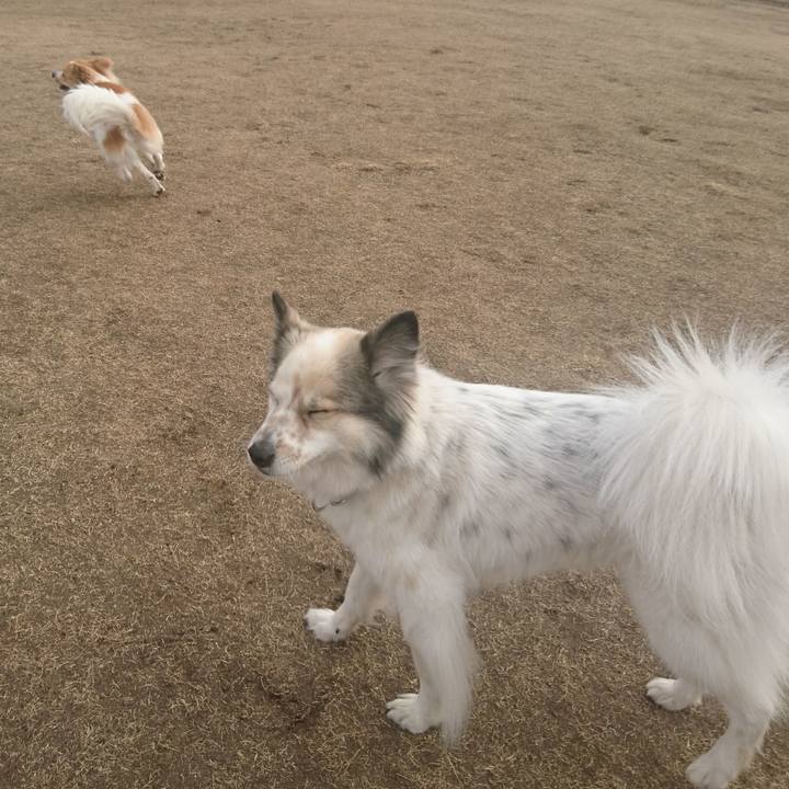 72d6d228 009b 41a6 a555 36d0ff3a74fa 1513862135675