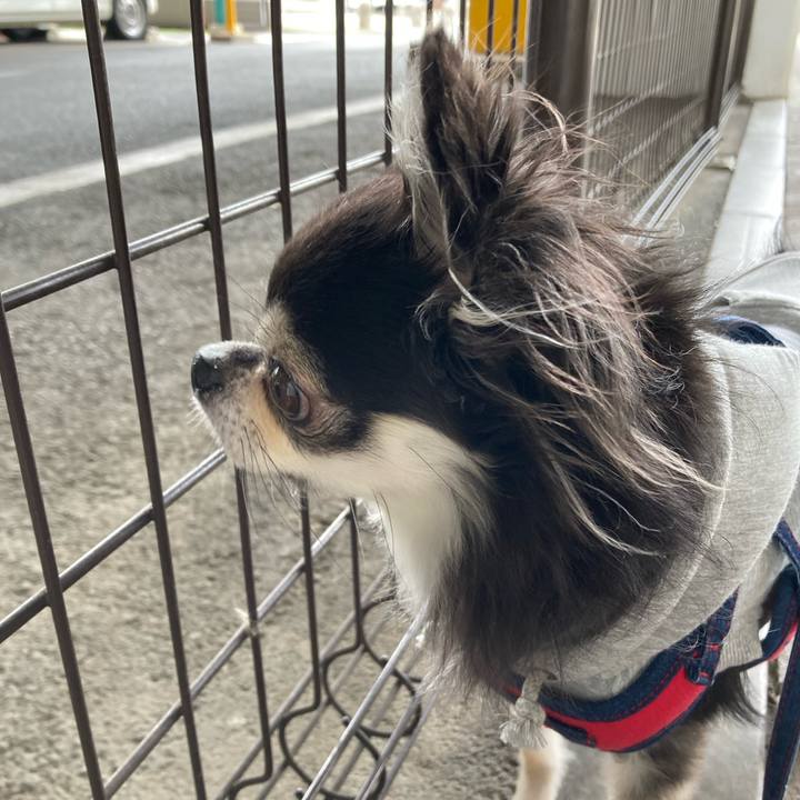 72d6d5cd 4f24 4f89 b867 47caa2e79db0 1712400577629