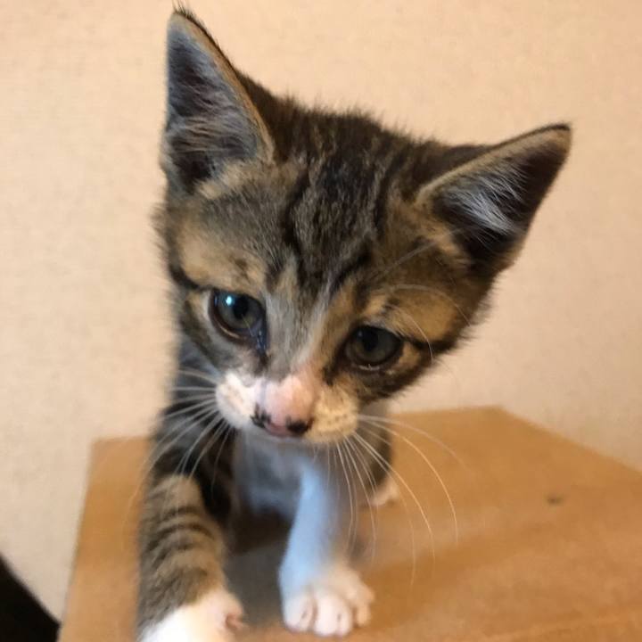 72d6d7b9 ec99 4a3f b726 6f048e18b83d 1595494524737