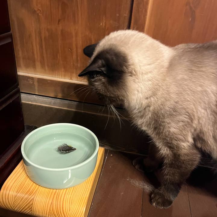 72d6e41e 5f90 4269 8cc7 a854969ce6ea 1694045152188