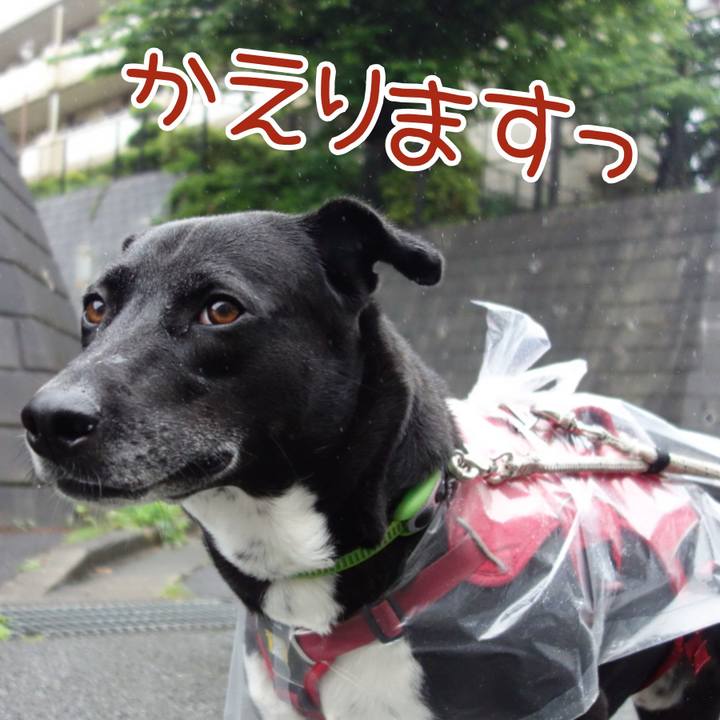 72d6ed5b f6bf 4a10 8be5 49bdcb1cdcd4 1652400737670