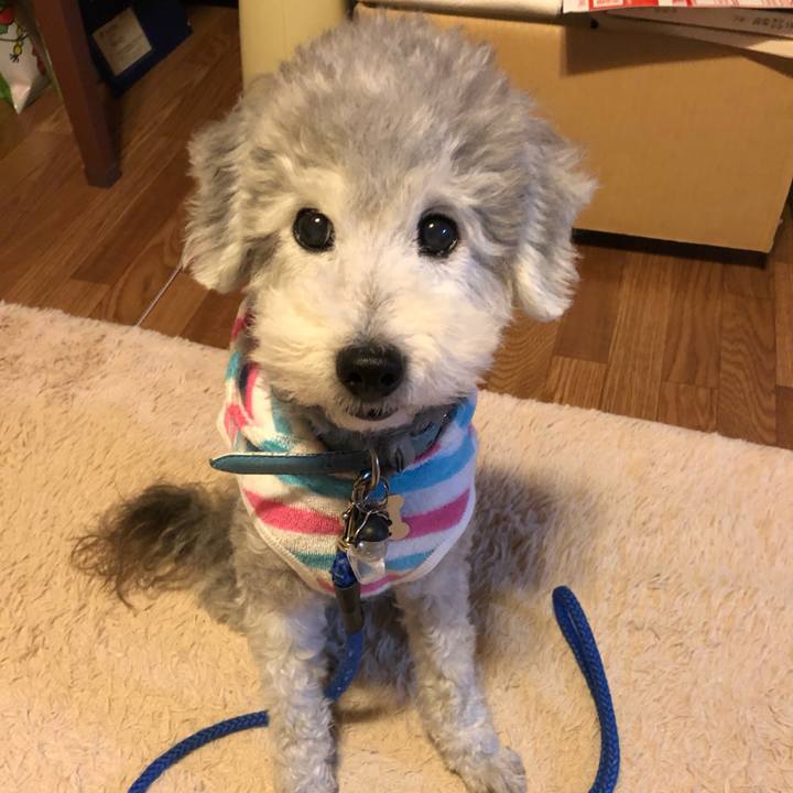 72d7083f 45ab 4c49 a1af b1136d011fd9 1560121286266