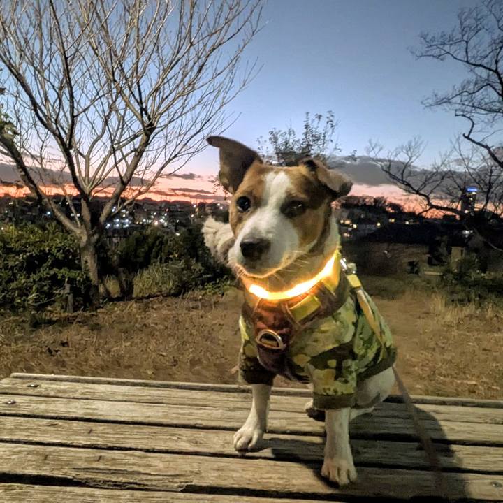 72d709e0 50f8 4115 b8bf b2dfff2e5fc6 1765236955411