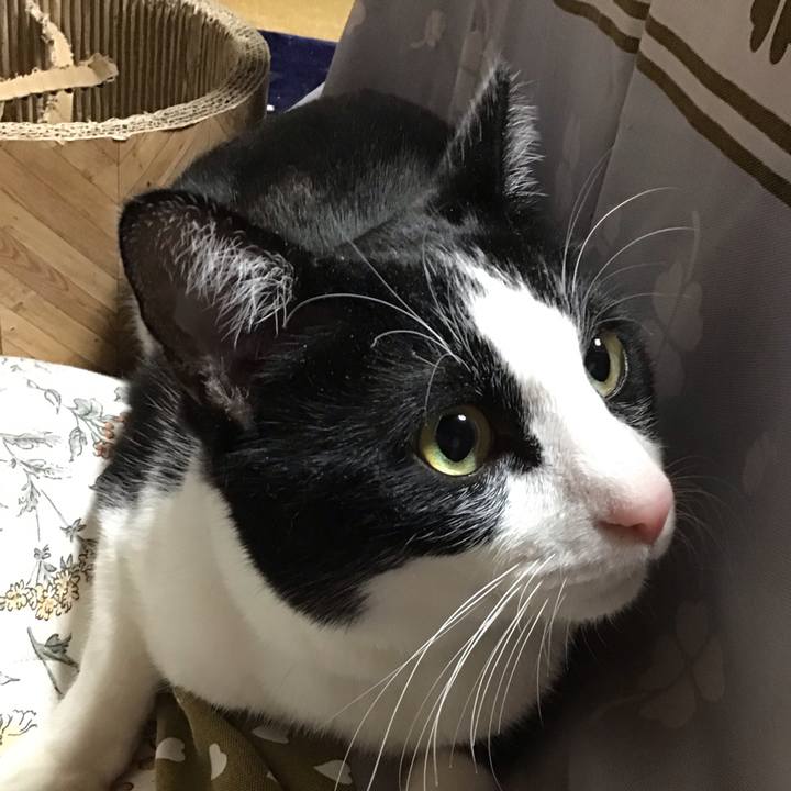 72d7157e 7772 4d9d 9cb0 94d738613974 1708683093653