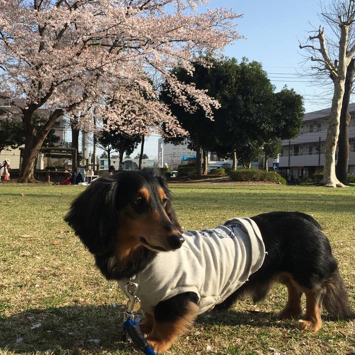 72d7274c 22cb 4370 93ac 4133a21a5b8b 1522479062203