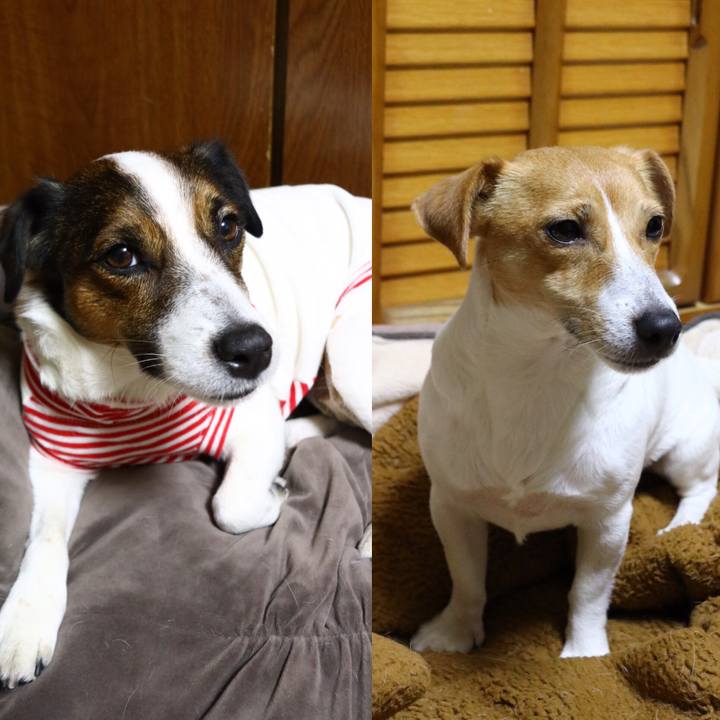 72d72dc9 3a02 4424 b91d 4141e603316a 1546244193040