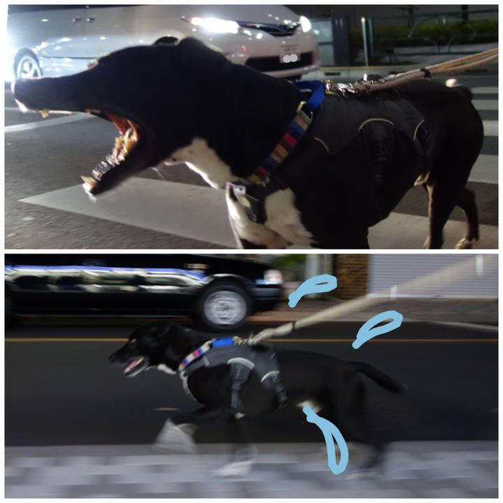 72d78ff6 2b6e 4092 a828 b1742a18ffd3 1648463614442