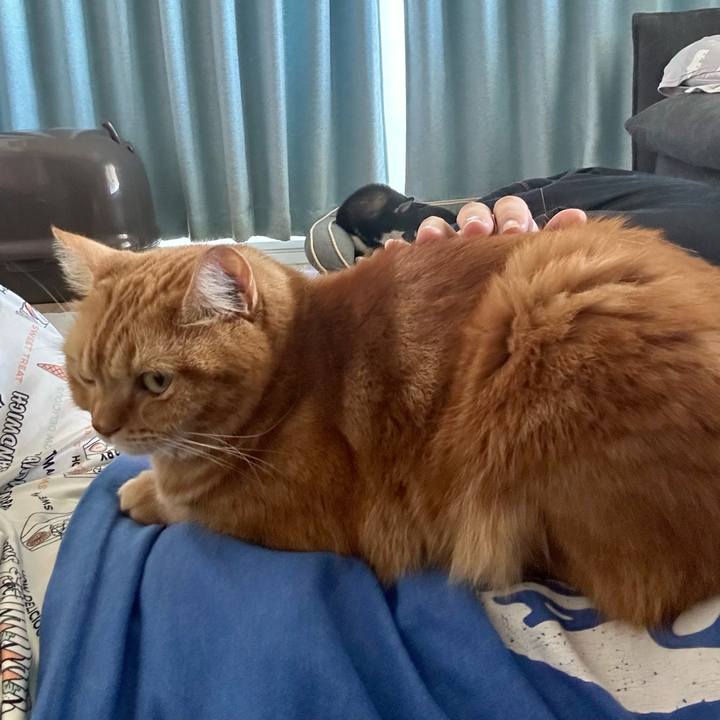 72d7b26c cd2f 43b2 b050 92a5477d7018 1726275639923