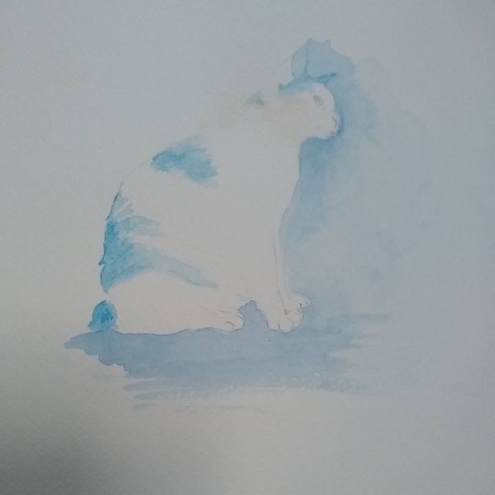 72d7c3d0 f86f 42cd 87c9 687893ee978c 1558860829001