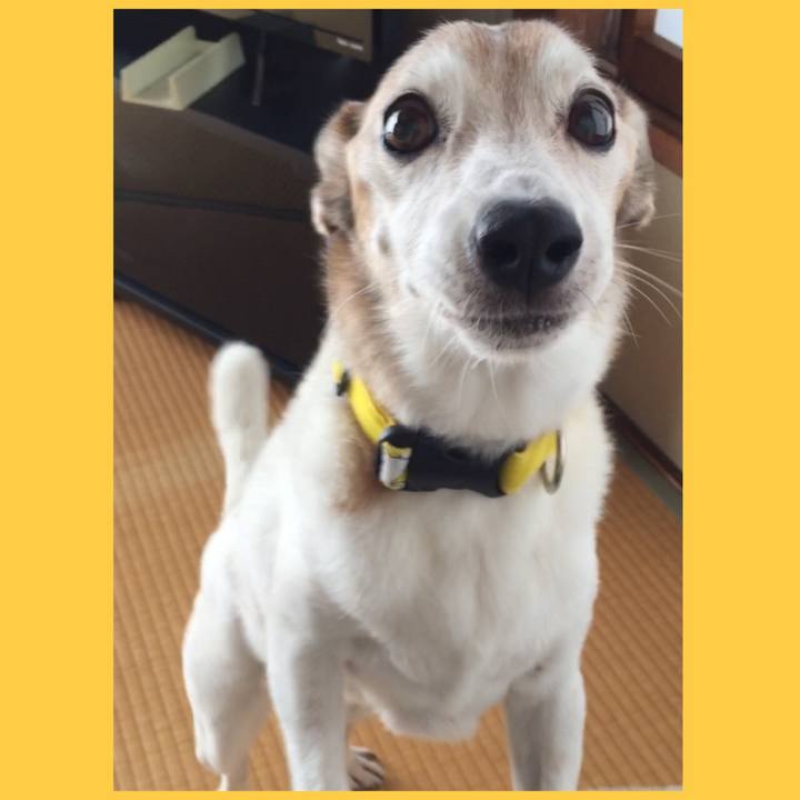 72d7cf53 83e4 4d9c be8c 99bd0f669e62 1536707100113