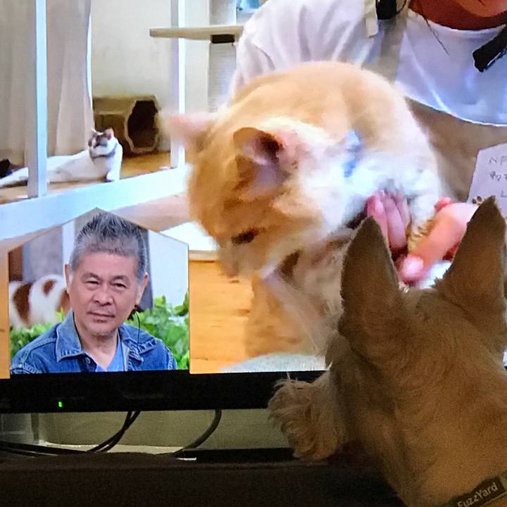 72d7f5cd 3bd9 419c bb88 da2a9602a4a2 1569049905996