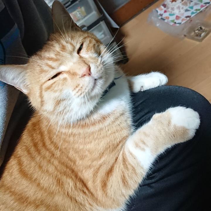 72d82f69 7a6c 40c0 beaa 60d9d2aa2602 1607851633997