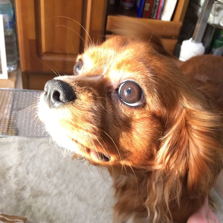 72d830c7 9977 43f6 993d 750d5f0e84e4 1515918638669