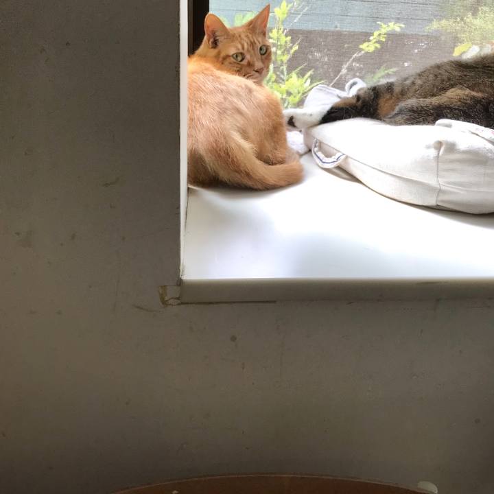 72d85673 e456 4e5a a7bc 119a68992143 1564123419442