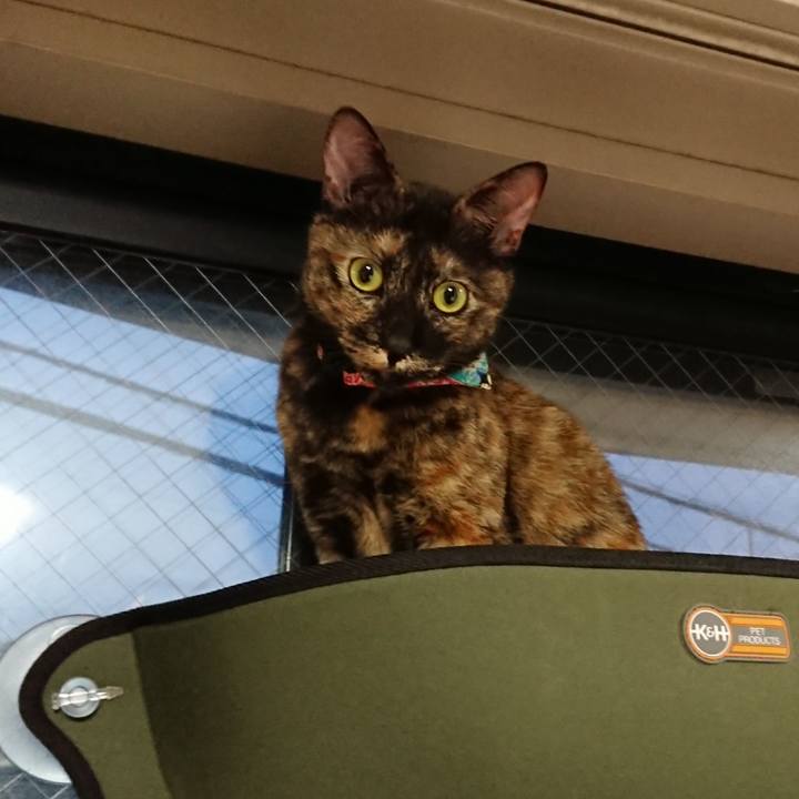 72d86255 7996 4194 9922 499932cbabe7 1559471078109