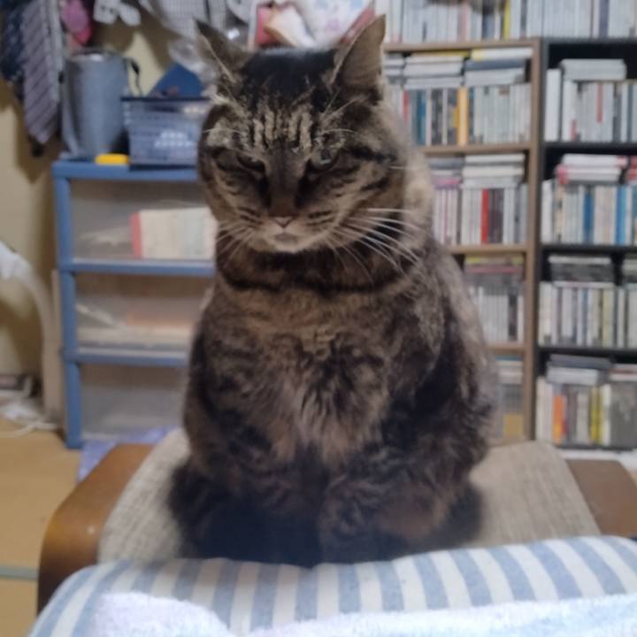 72d8698e 1980 486e bd0f 60e8e72c03bd 1769847527220