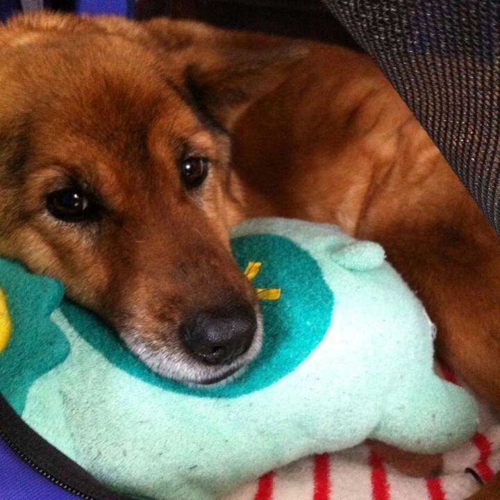 72d87c47 2d96 46a4 bf75 41176000f3cc 1558279466997