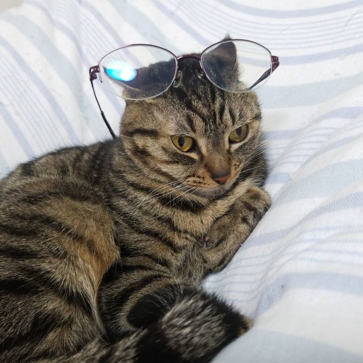 72d8903d 8e1f 4d96 8cc4 efe222ca1c46 1583443716119